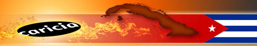 Caricia Afro-Latino-Tanzschule im Casa Cuba, Tanzschulen Karlsruhe, Logo