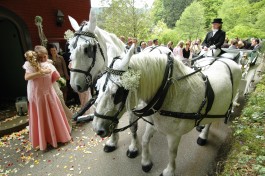 Heiraten im Waldknechtshof Bild 5