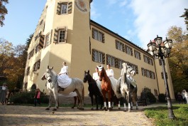 Märchenhochzeit auf Schloss Mühlhausen Bild 2