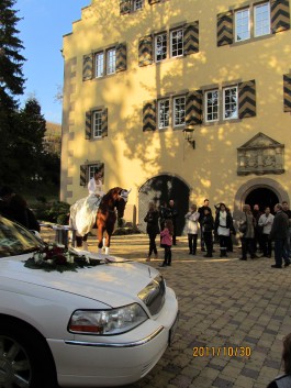 Märchenhochzeit auf Schloss Mühlhausen Bild 4